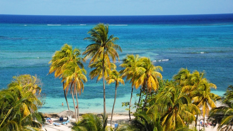 Guardalavaca