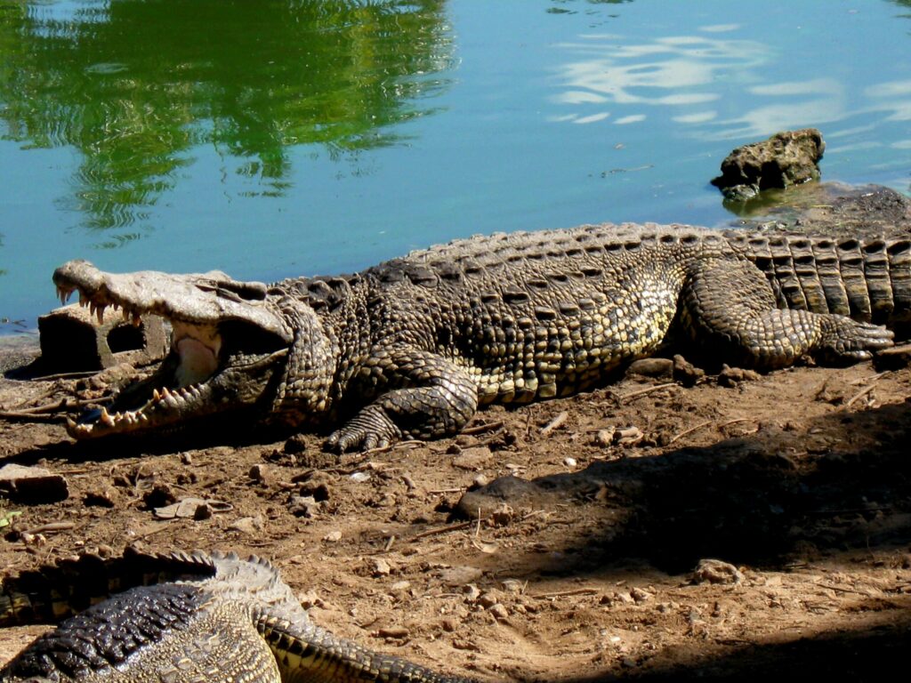 IMG_0516-scaled